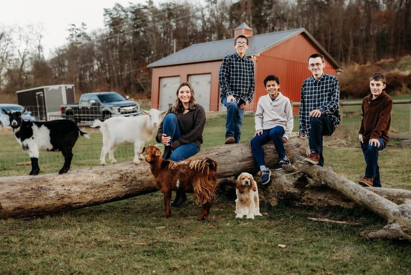 The Importance Of Hiring A Professional Family Portrait Photographer